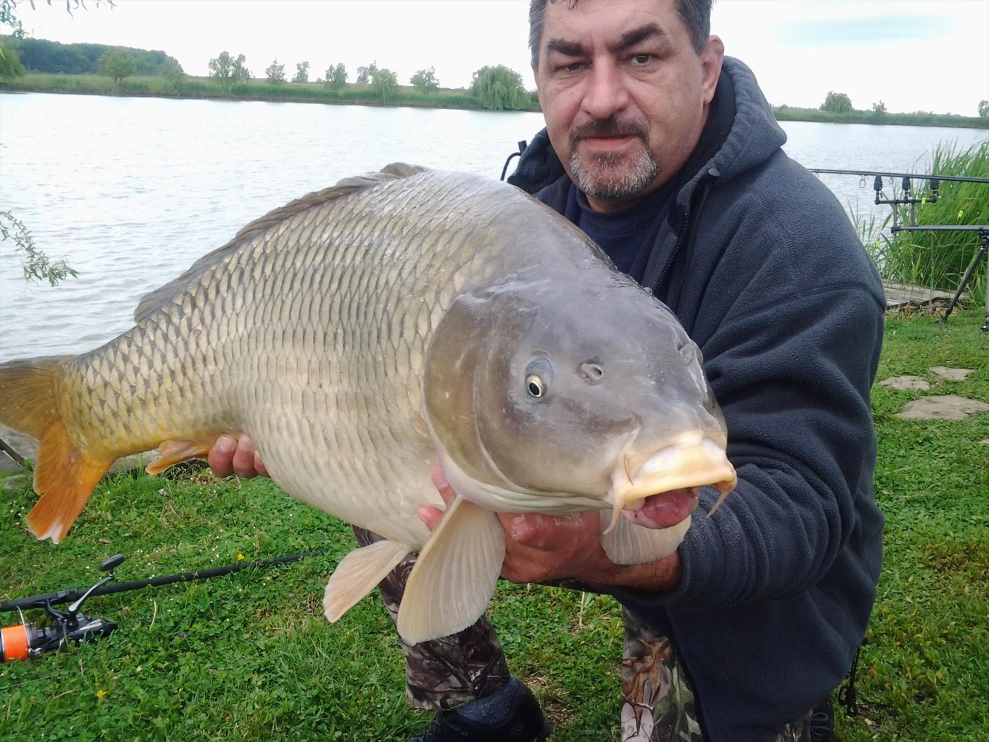 Moby Dick - Crap comun 21.40 kg